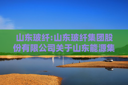 山东玻纤:山东玻纤集团股份有限公司关于山东能源集团财务有限公司2024年风险评估报告