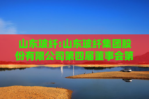 山东玻纤:山东玻纤集团股份有限公司第四届董事会第九次会议决议公告