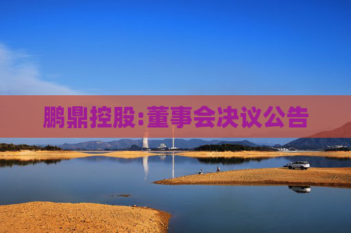 鹏鼎控股:董事会决议公告  第1张