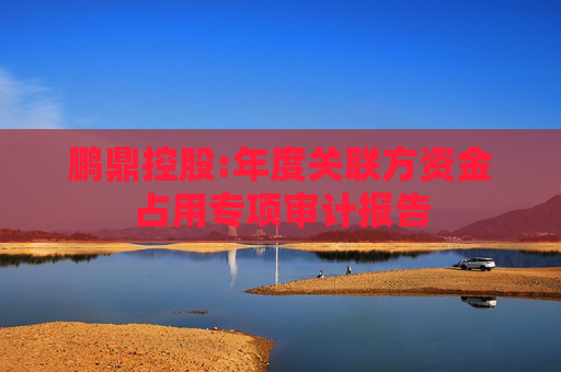 鹏鼎控股:年度关联方资金占用专项审计报告