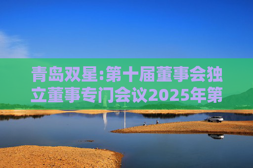 青岛双星:第十届董事会独立董事专门会议2025年第五次会议决议公告