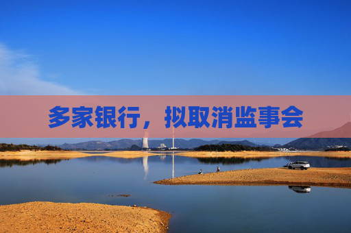 多家银行,拟取消监事会