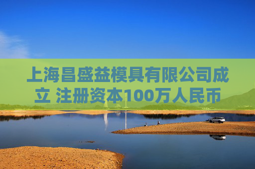 上海昌盛益模具有限公司成立 注册资本100万人民币