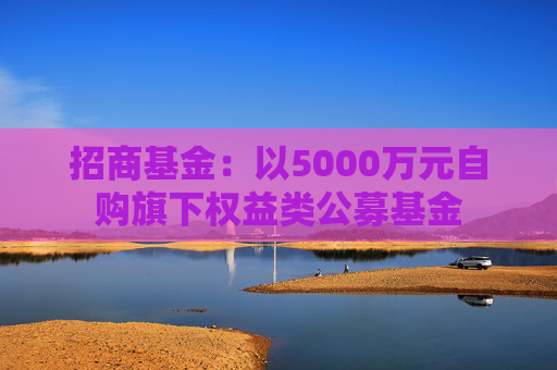 招商基金：以5000万元自购旗下权益类公募基金