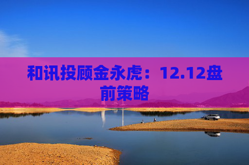 和讯投顾金永虎:12.12盘前策略