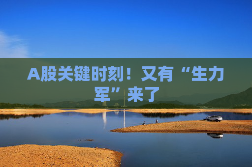 A股关键时刻！又有“生力军”来了