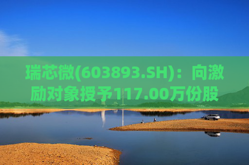 瑞芯微(603893.SH)：向激励对象授予117.00万份股票期权