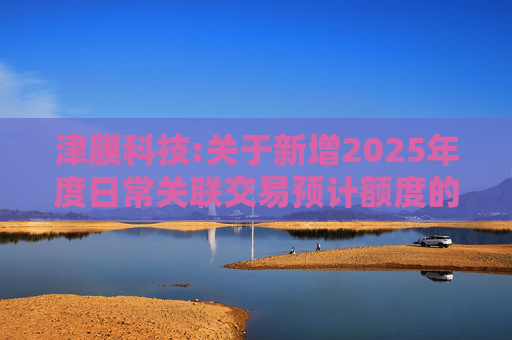 津膜科技:关于新增2025年度日常关联交易预计额度的公告