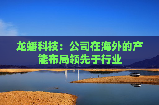 龙蟠科技：公司在海外的产能布局领先于行业