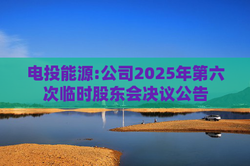 电投能源:公司2025年第六次临时股东会决议公告