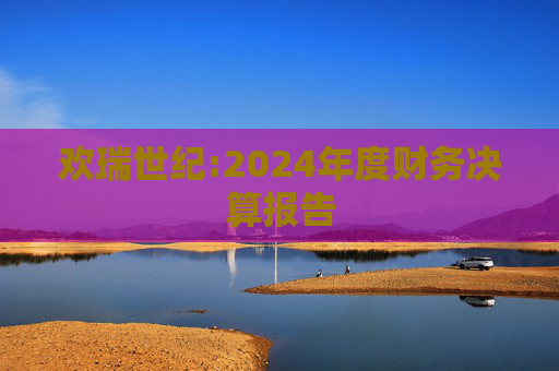 欢瑞世纪:2024年度财务决算报告