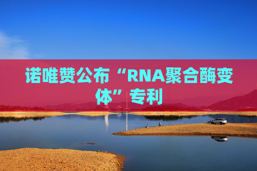 诺唯赞公布“RNA聚合酶变体”专利