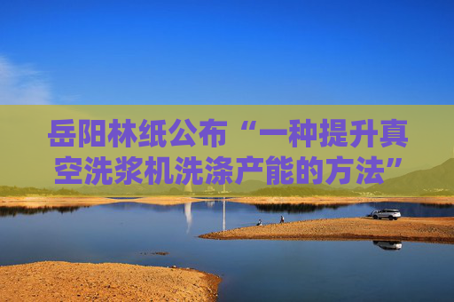 岳阳林纸公布“一种提升真空洗浆机洗涤产能的方法”专利  第1张