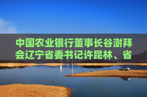 中国农业银行董事长谷澍拜会辽宁省委书记许昆林、省长王新伟