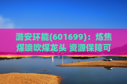 潞安环能(601699)：炼焦煤喷吹煤龙头 资源保障可持续发展