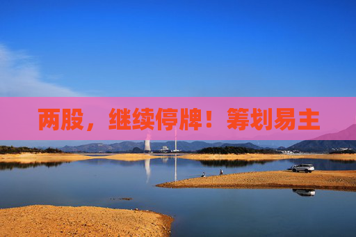 两股，继续停牌！筹划易主  第1张