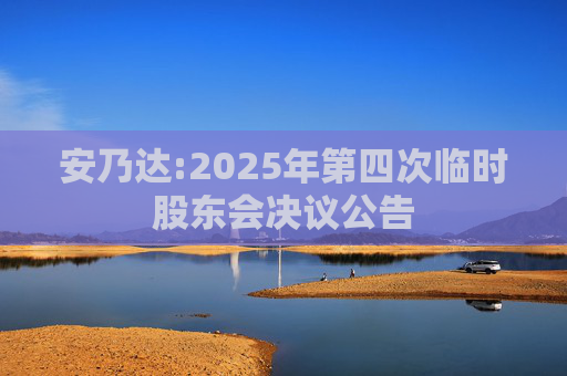 安乃达:2025年第四次临时股东会决议公告