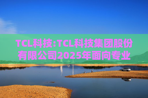 TCL科技:TCL科技集团股份有限公司2025年面向专业投资者公开发行科技创新公司债券（数字经济）（第一期）信用评级报告