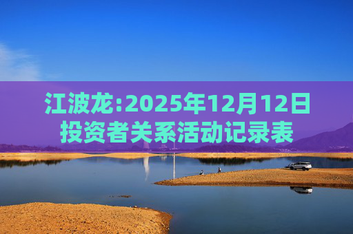 江波龙:2025年12月12日投资者关系活动记录表