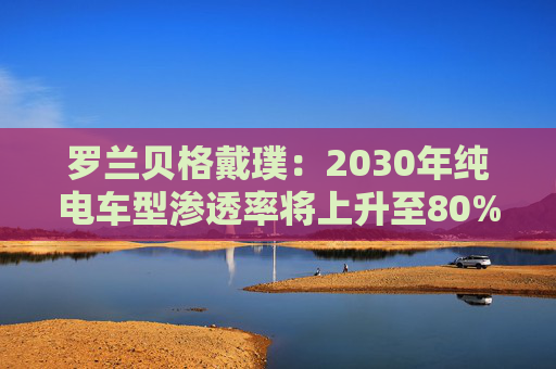罗兰贝格戴璞：2030年纯电车型渗透率将上升至80%