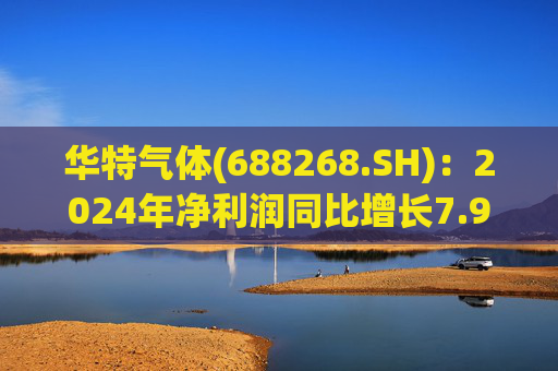 华特气体(688268.SH)：2024年净利润同比增长7.99% 拟10派6元