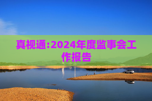 真视通:2024年度监事会工作报告