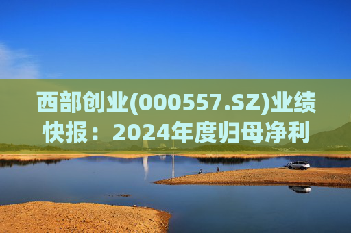 西部创业(000557.SZ)业绩快报：2024年度归母净利润2.63亿元 同比增长8.50%
