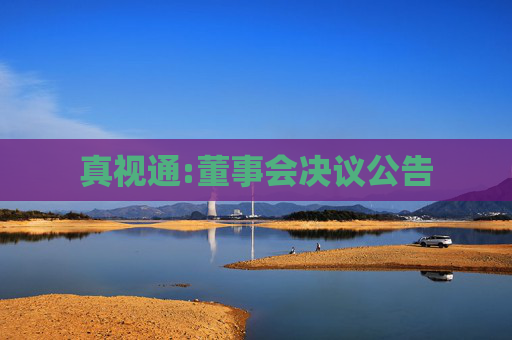 真视通:董事会决议公告