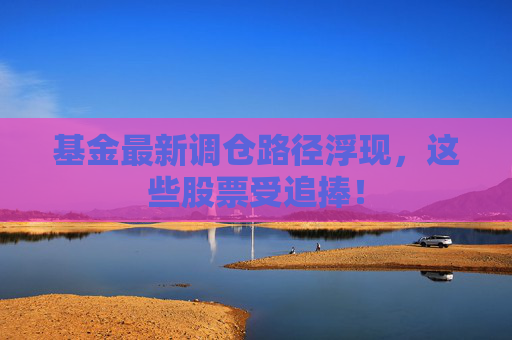 基金最新调仓路径浮现，这些股票受追捧！