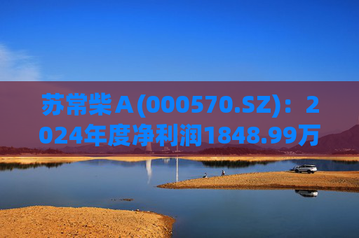 苏常柴Ａ(000570.SZ)：2024年度净利润1848.99万元 拟10派0.1元  第1张