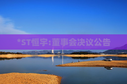 *ST恒宇:董事会决议公告