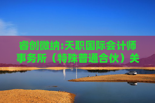 睿创微纳:天职国际会计师事务所（特殊普通合伙）关于烟台睿创微纳技术股份有限公司2024年度控股股东及其他关联方资金占用情况的专项说明