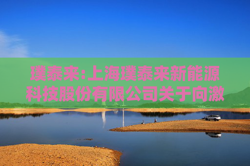 璞泰来:上海璞泰来新能源科技股份有限公司关于向激励对象授予股票期权的公告