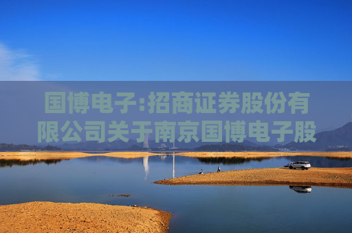 国博电子:招商证券股份有限公司关于南京国博电子股份有限公司若干关联交易事项的核查意见  第1张
