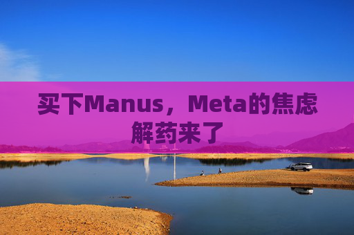 买下Manus，Meta的焦虑解药来了