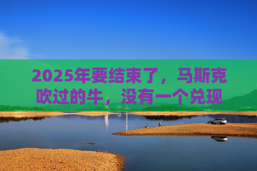 2025年要结束了，马斯克吹过的牛，没有一个兑现