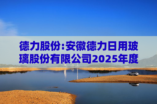 德力股份:安徽德力日用玻璃股份有限公司2025年度向特定对象发行股票方案的论证分析报告（修订稿）（1）