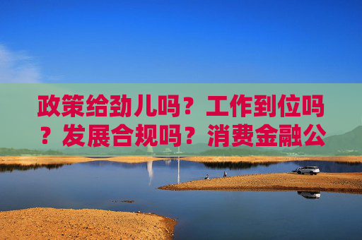 政策给劲儿吗？工作到位吗？发展合规吗？消费金融公司这么说