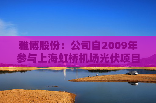 雅博股份：公司自2009年参与上海虹桥机场光伏项目后，逐步拓展新能源EPC  第1张