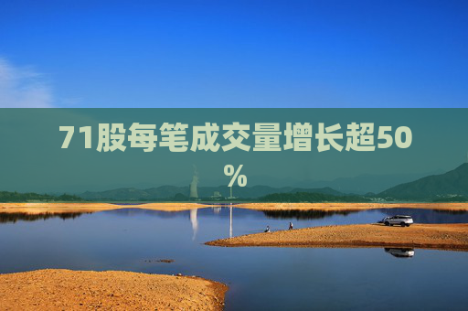 71股每笔成交量增长超50%