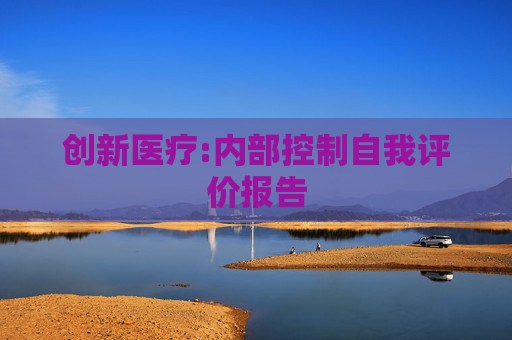 创新医疗:内部控制自我评价报告