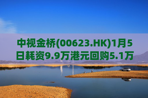 中视金桥(00623.HK)1月5日耗资9.9万港元回购5.1万股