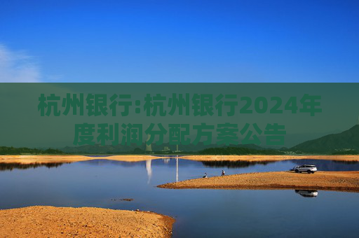 杭州银行:杭州银行2024年度利润分配方案公告