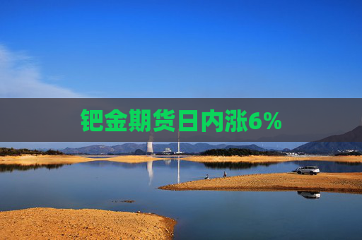 钯金期货日内涨6%  第1张