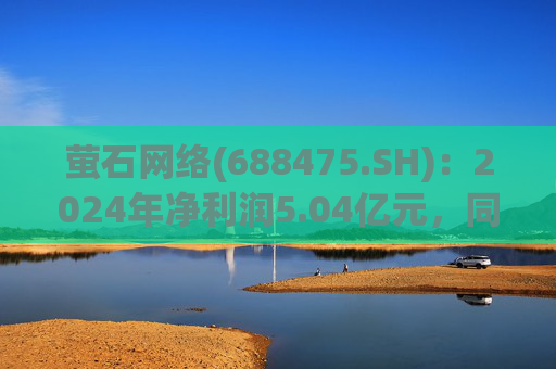 萤石网络(688475.SH)：2024年净利润5.04亿元，同比下降10.52%  第1张