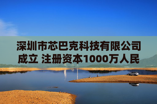 深圳市芯巴克科技有限公司成立 注册资本1000万人民币  第1张