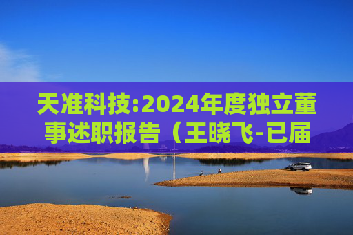 天准科技:2024年度独立董事述职报告（王晓飞-已届满离任）