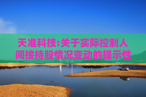 天准科技:关于实际控制人间接持股情况变动的提示性公告