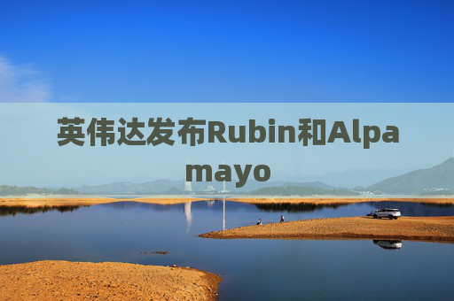 英伟达发布Rubin和Alpamayo