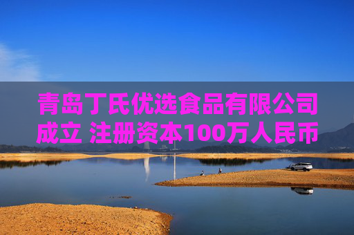 青岛丁氏优选食品有限公司成立 注册资本100万人民币  第1张